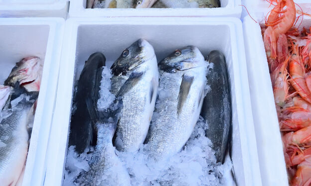 Podle čeho vybírat termobox na jídlo, aby si uchovalo původní teplotu?